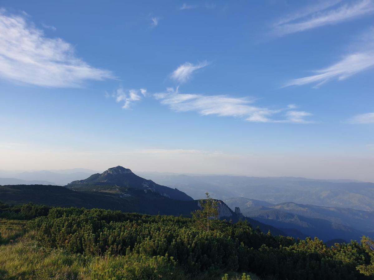 Casa Tucan Ceahlău Exteriör bild