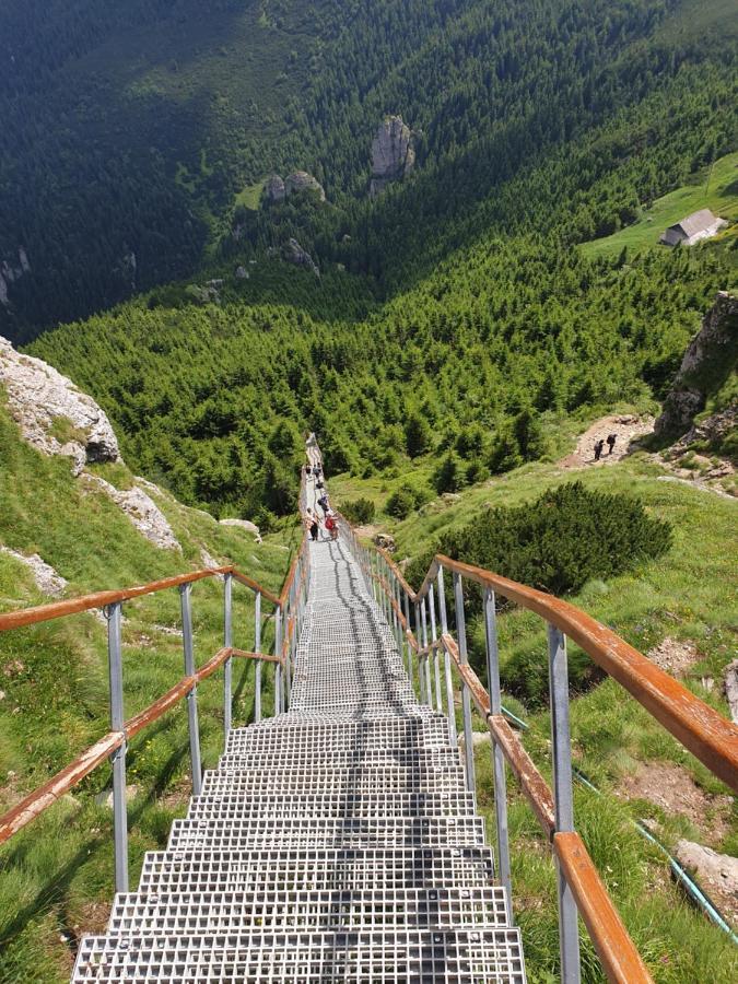 Casa Tucan Ceahlău Exteriör bild